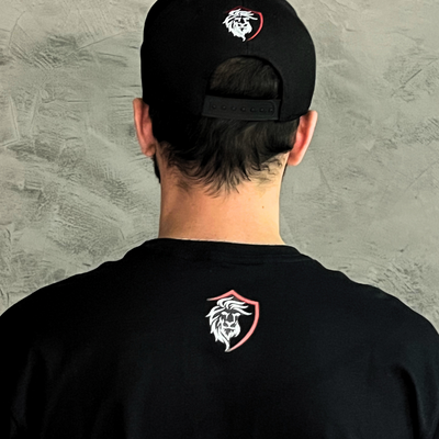 Camiseta NPL Performance x Sparco