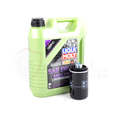 Kit de Troca de Óleo Liqui Moly Molygen VW Jetta MK6, Passat B7, Tiguan, Audi A3 8P 2.0 TSI 200cv NPL Performance Parts